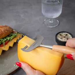 Boska Amigo juustoh&ouml;yl&auml; | py&ouml;kkikahva | pehmeille juustoille