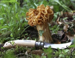 Opinell sieniveitsi taittoter&auml;ll&auml; | py&ouml;kkikahva | ter&auml;n pituus 8 cm