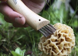 Opinell sieniveitsi taittoter&auml;ll&auml; | py&ouml;kkikahva | ter&auml;n pituus 8 cm